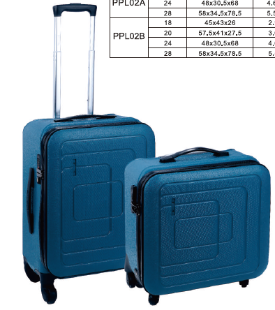 TROLLEY CASE