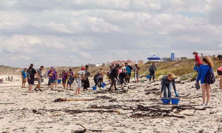 南非开普敦：清理海滩垃圾、保护海洋环境